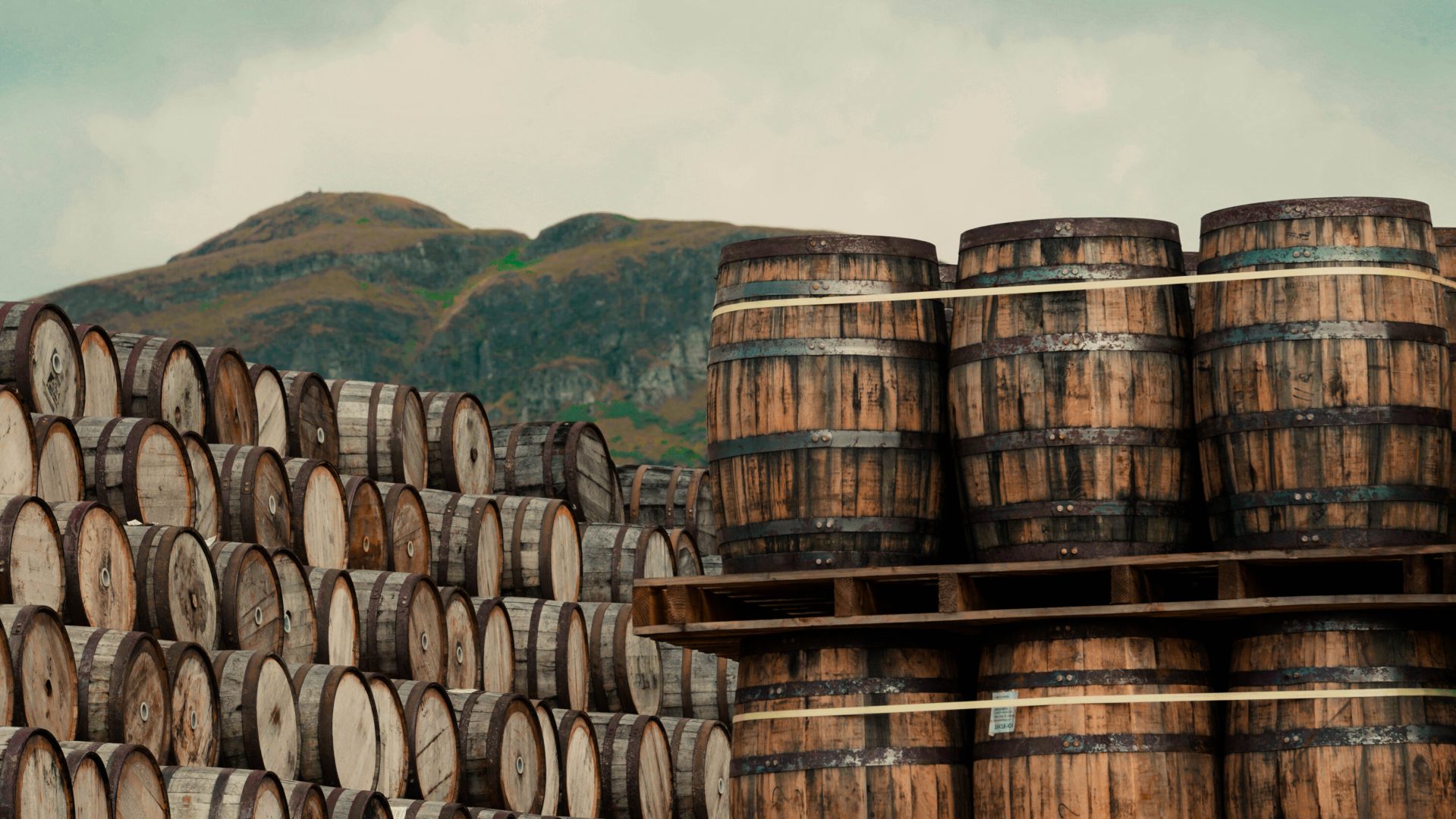 Barrels of the best Irish wiskey to invest in